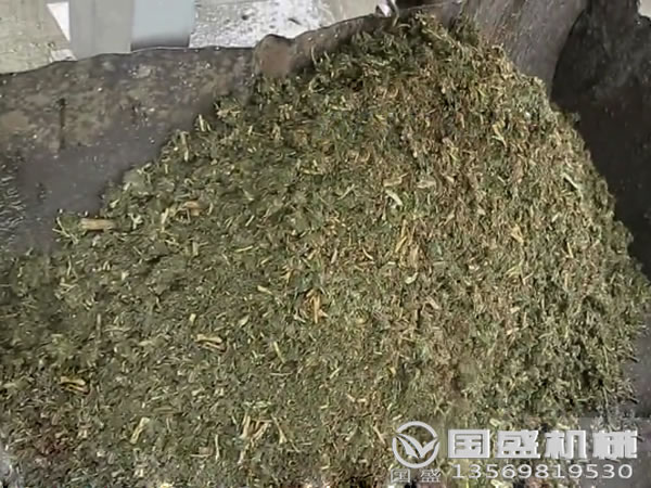 餐廚垃圾分揀脫水機